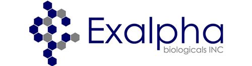 Exalpha Logo Fn