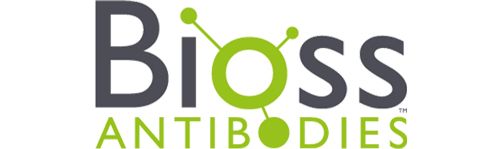 Bioss Logo Fn
