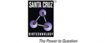 Santacruz Logo Fn